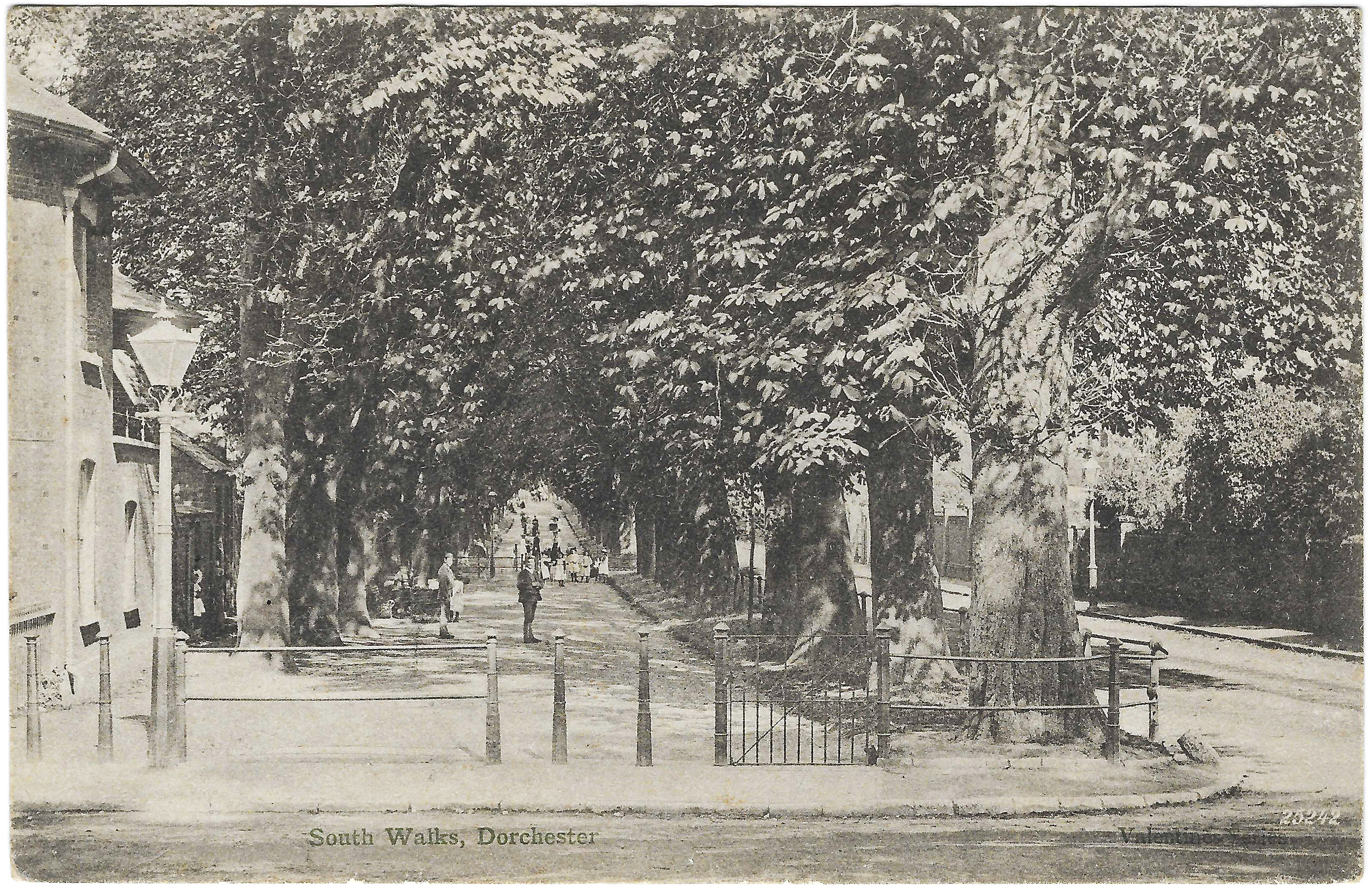 South Walks Dorchester 1896